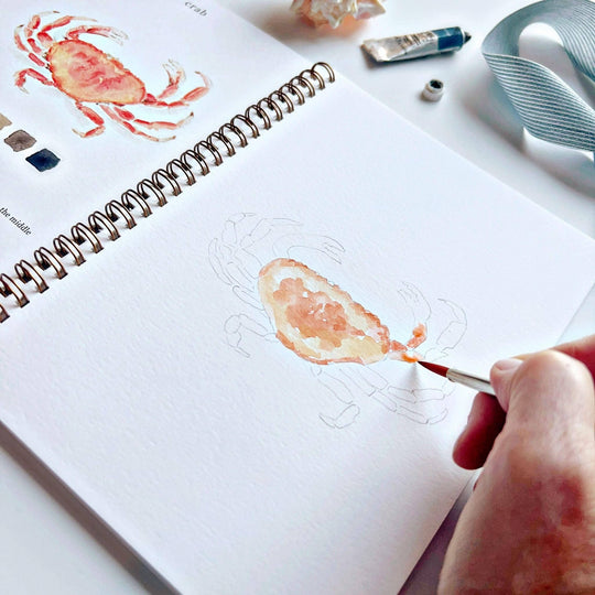 Emily Lex : Seaside watercolour workbook