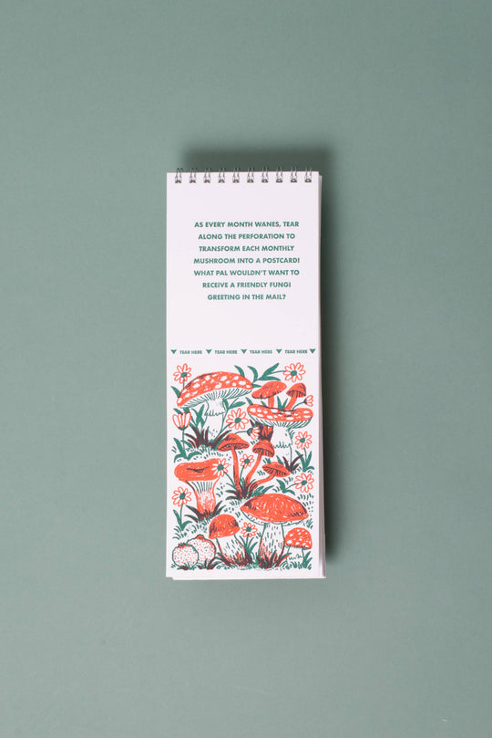 Egg Press Manufacturing : 2027 Gnomes & Mushrooms Postcard Wall Calendar Phoebe Wahl