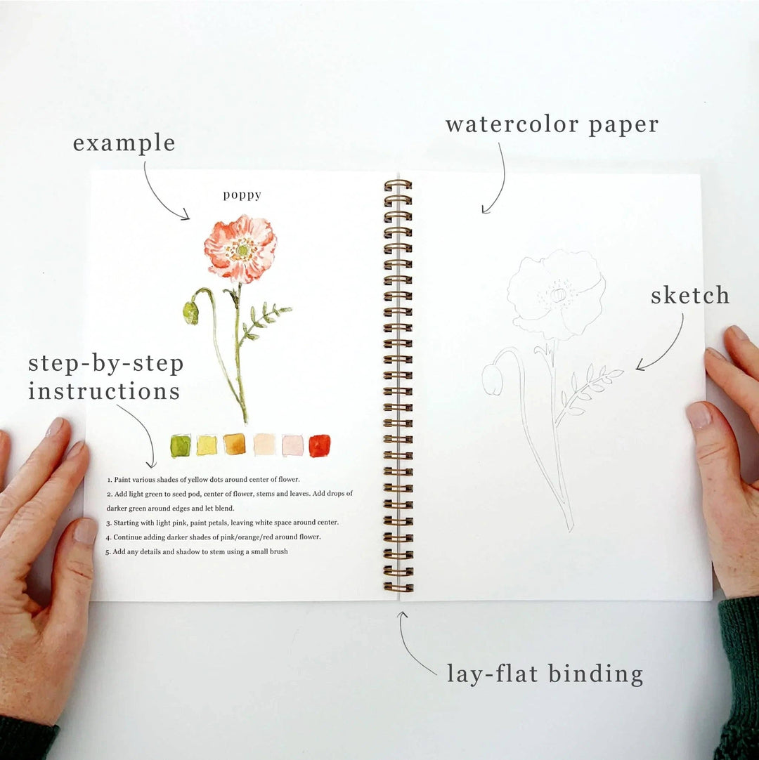 Emily Lex :  Flowers watercolour workbook