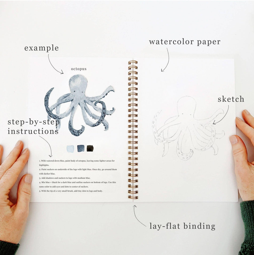 Emily Lex : Seaside watercolour workbook