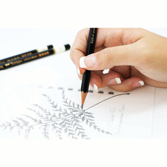 Tombow : MONO Drawing Pencil