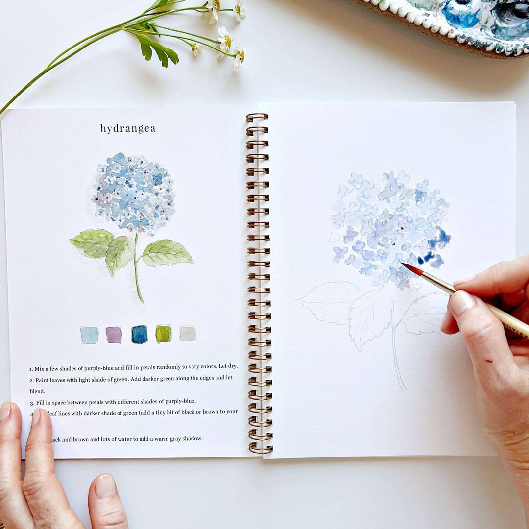 Emily Lex :  Flowers watercolour workbook