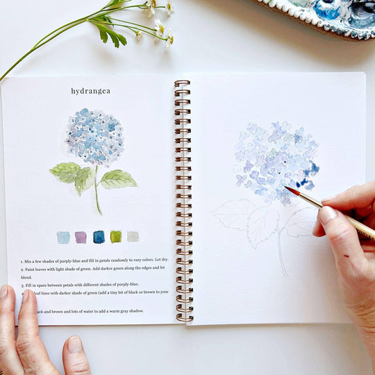Emily Lex :  Flowers watercolour workbook