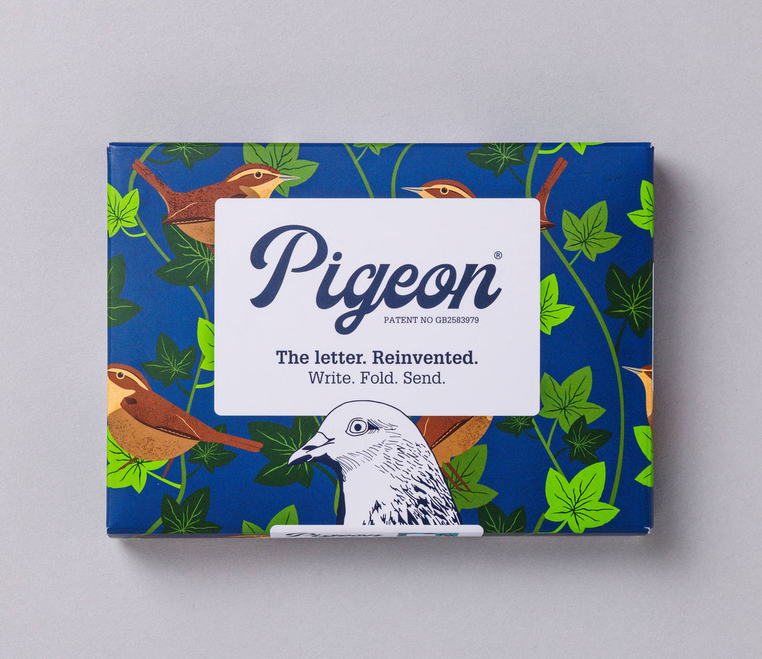 Pigeon Posted : Letter set : Robin and Wren
