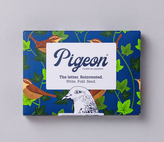 Pigeon Posted : Letter set : Robin and Wren