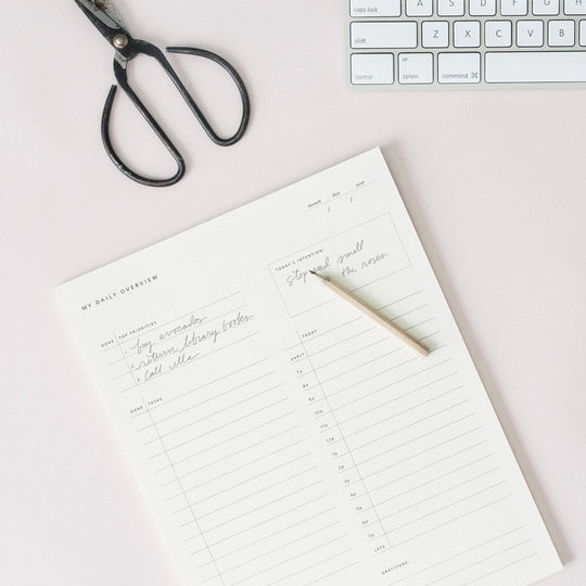 Ramona & Ruth : Daily Overview Notepad