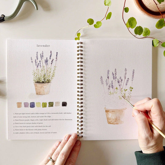 Emily Lex : Garden watercolour workbook