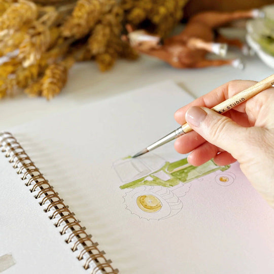 Emily Lex : Farm watercolour workbook