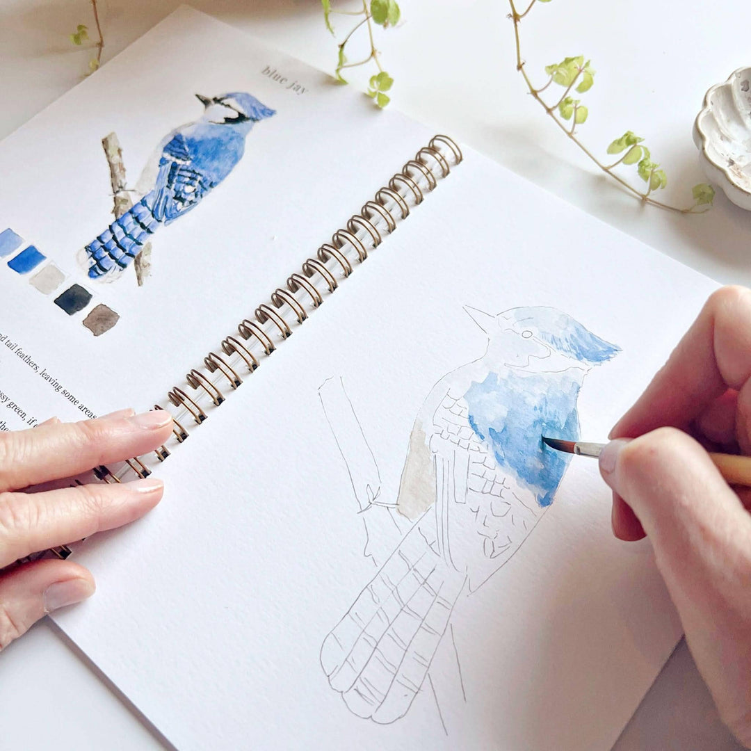 Emily Lex : Birds watercolour workbook