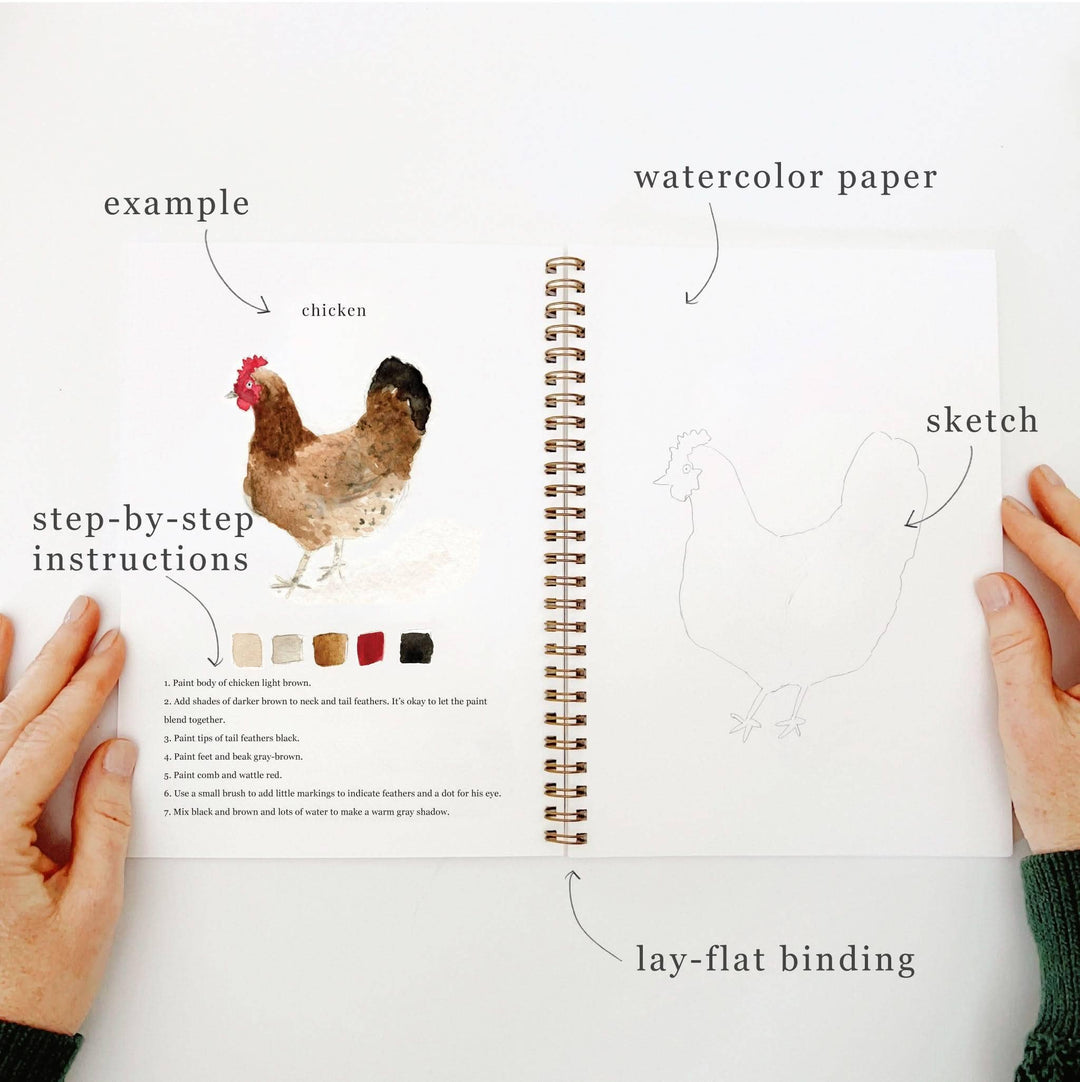 Emily Lex : Animals watercolour workbook