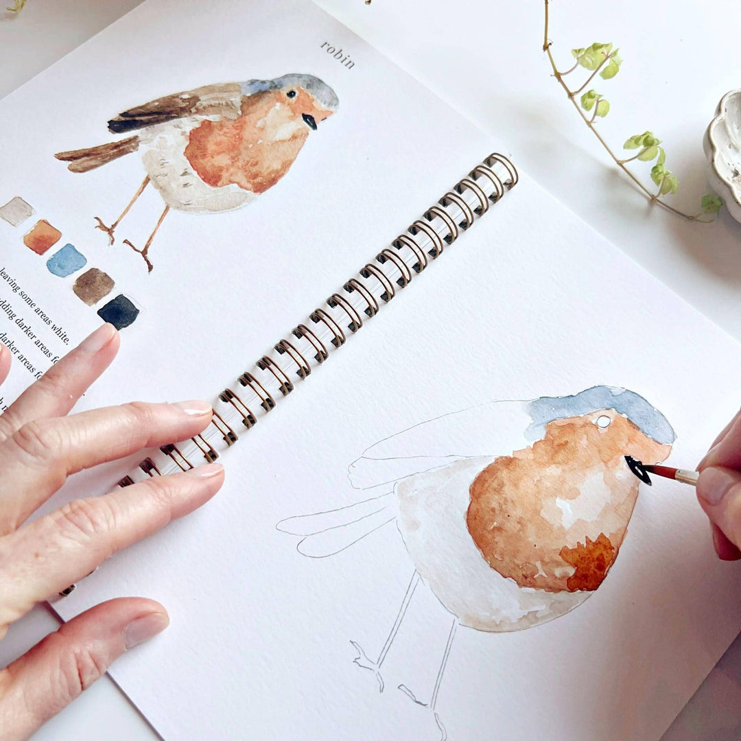 Emily Lex : Birds watercolour workbook
