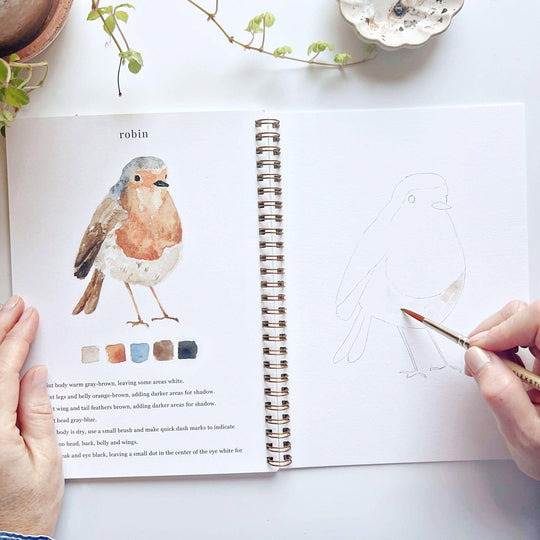 Emily Lex : Birds watercolour workbook