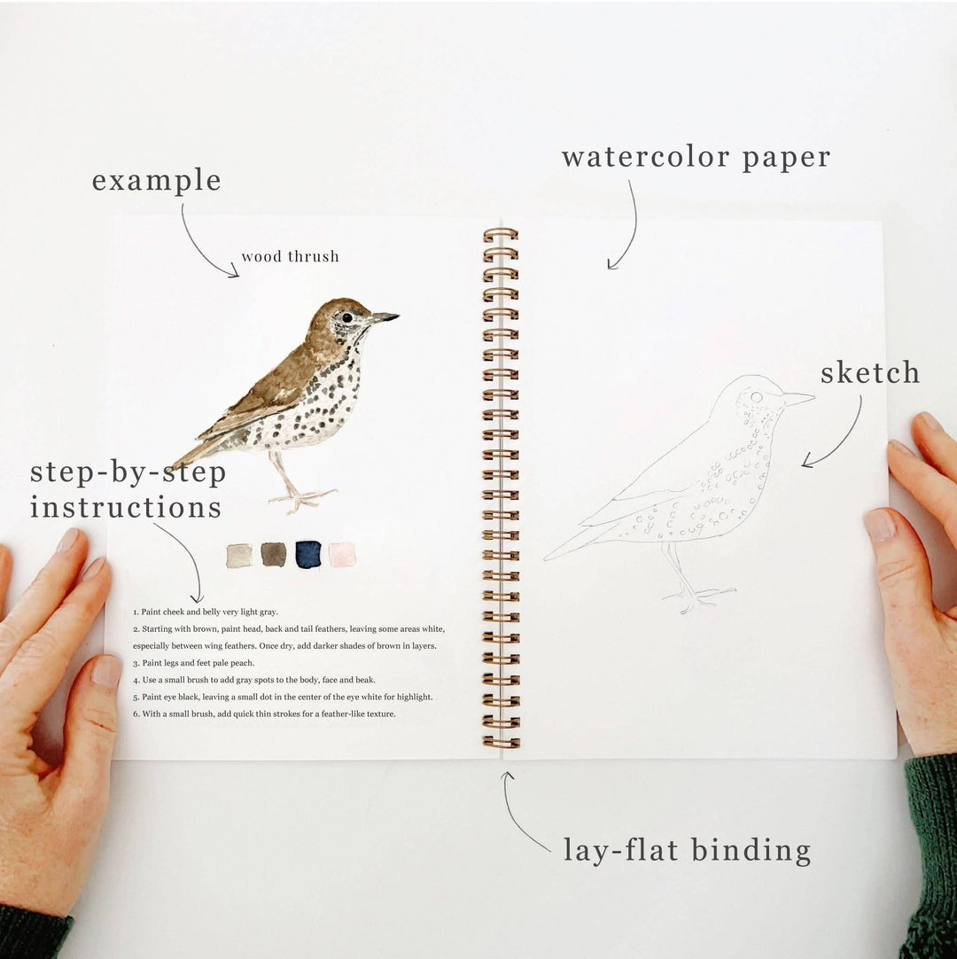 Emily Lex : Birds watercolour workbook