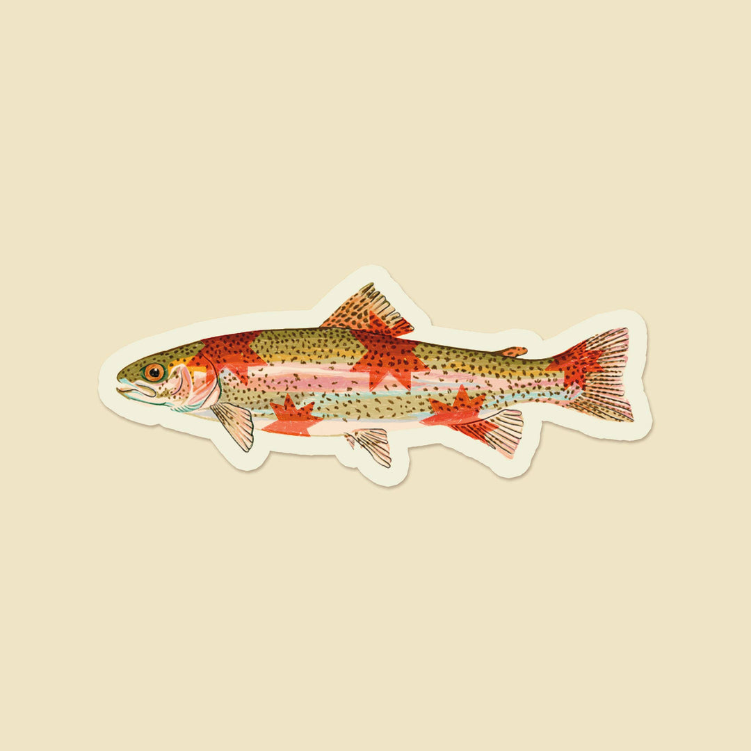 Artbaby : Rainbow Trout Starry Fish Sticker