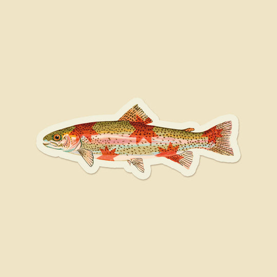 Artbaby : Rainbow Trout Starry Fish Sticker