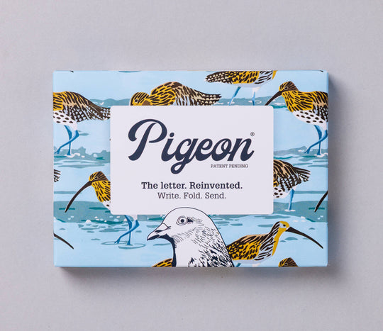 Pigeon Posted : Hebridean Pigeon : Pack of 6