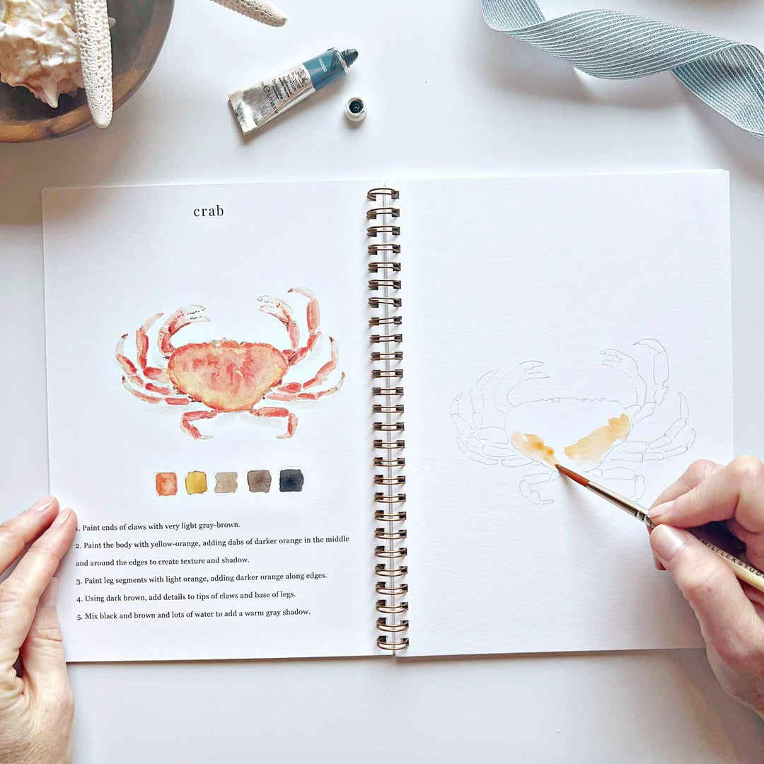 Emily Lex : Seaside watercolour workbook