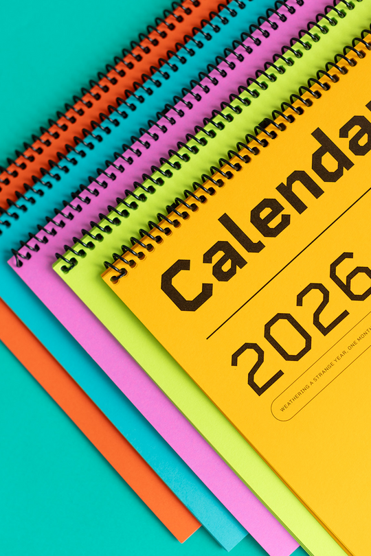 Recess: 2026 Coil Calendar : Strange Year