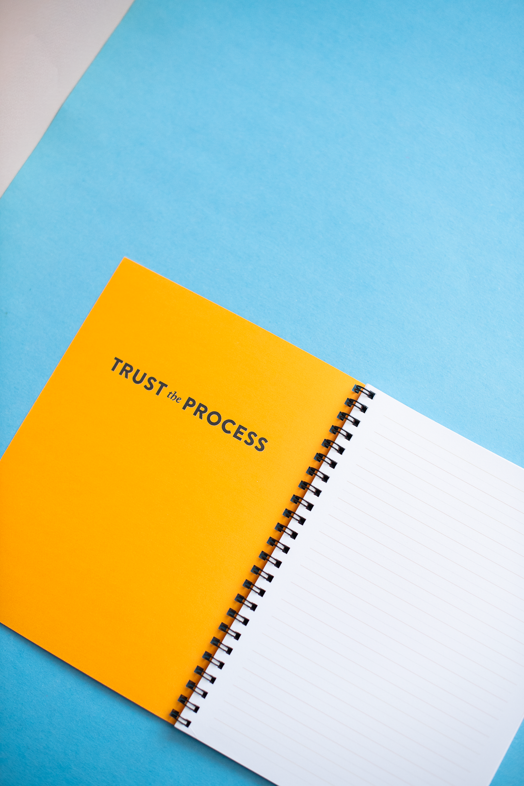 Recess : Trust The Process Notebook