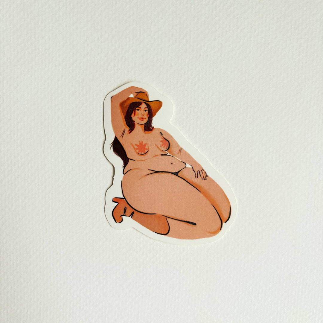 Artbaby : Assorted Cowgirl Stickers