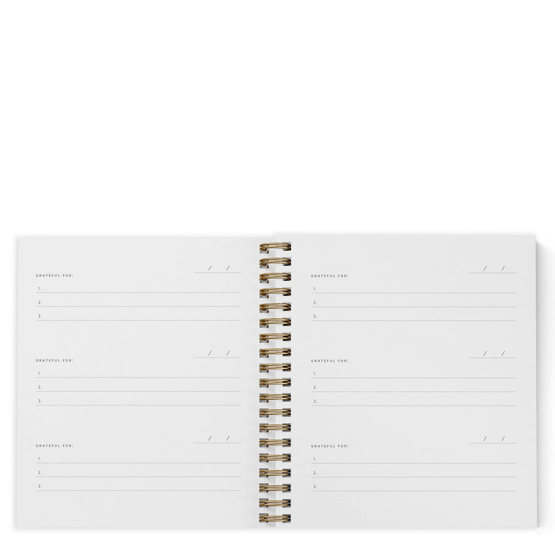 Ramona & Ruth : Mini Gratitude Journal | Assorted Colors