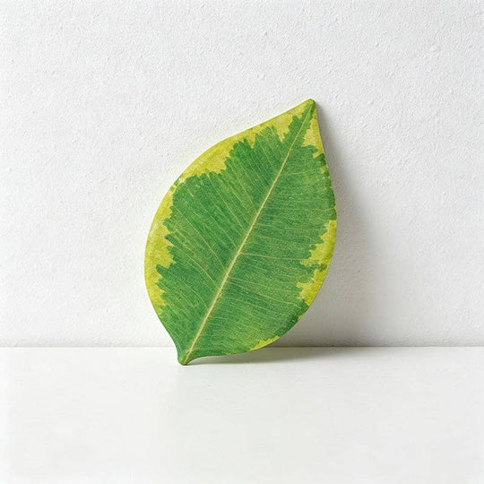 CouldNook : Realistic Botanical Leaf Sticky Notes