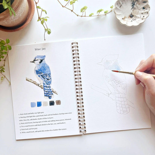 Emily Lex : Birds watercolour workbook