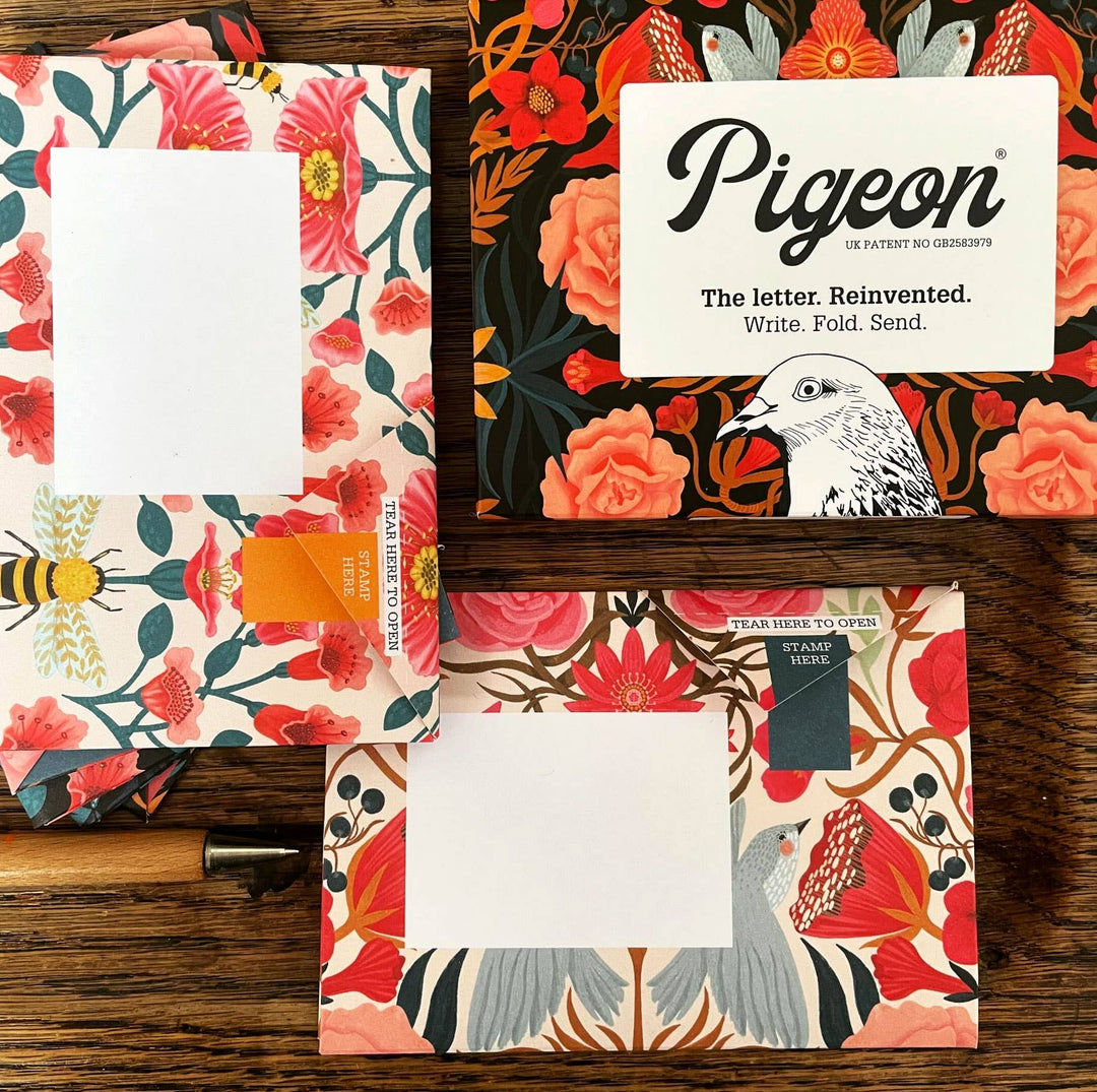 Pigeon Posted : Bright & Beautiful Pigeon : Pack of 6