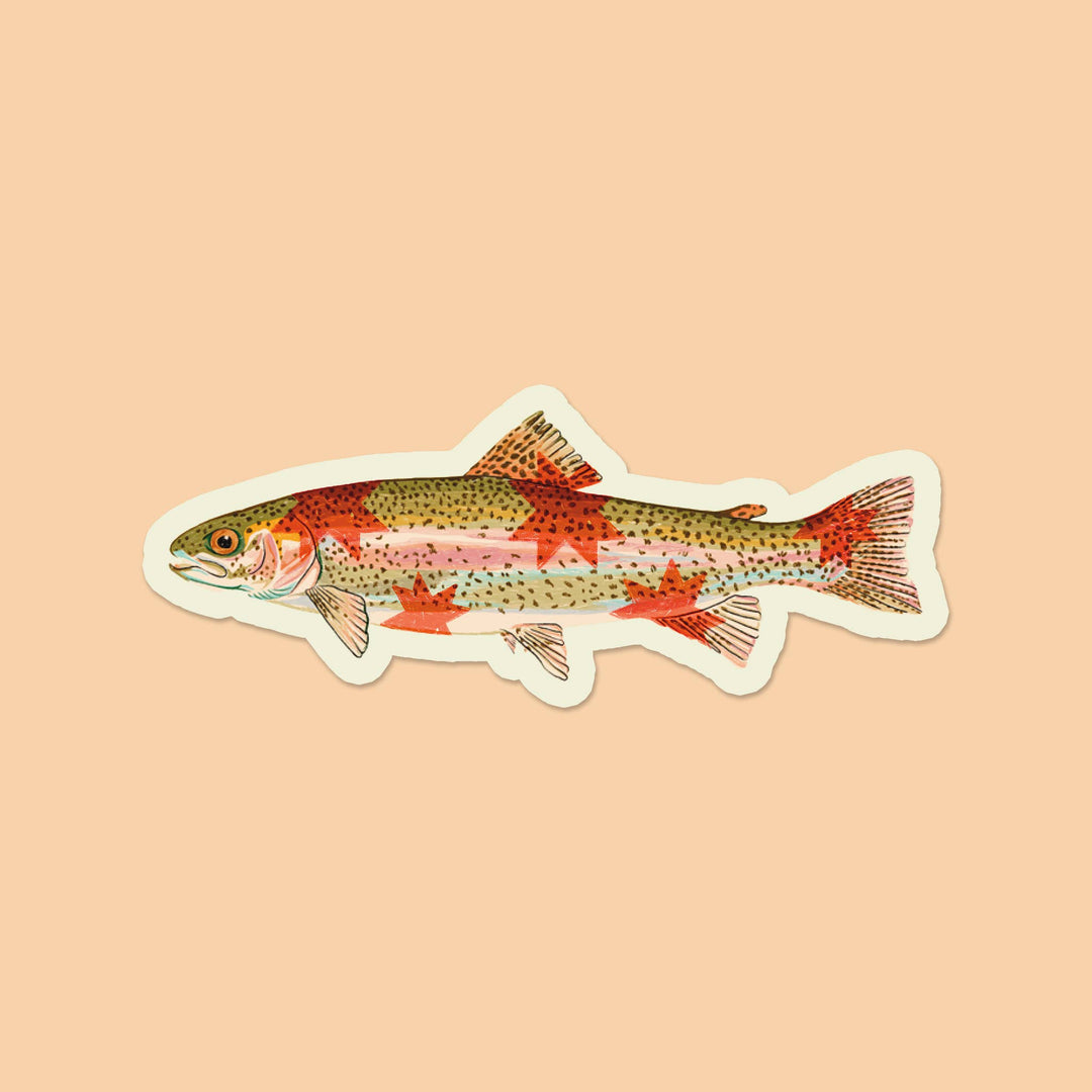 Artbaby : Rainbow Trout Starry Fish Sticker