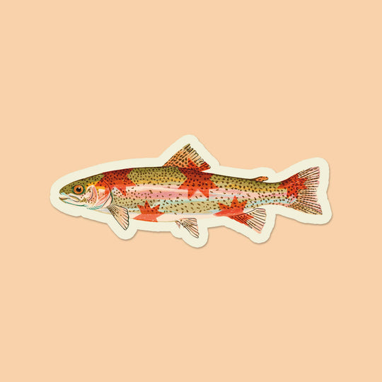 Artbaby : Rainbow Trout Starry Fish Sticker