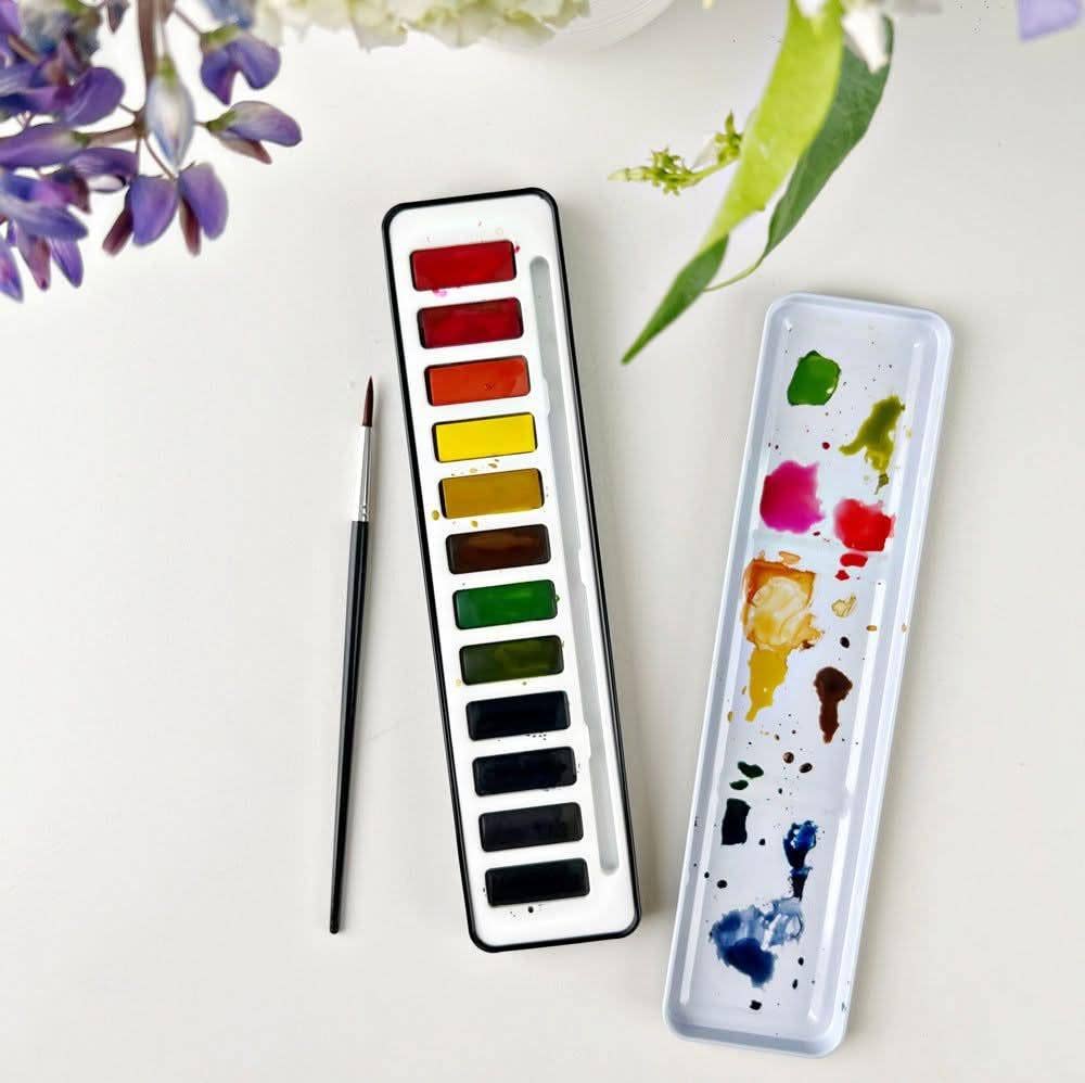Watercolour paint set 12 colors
