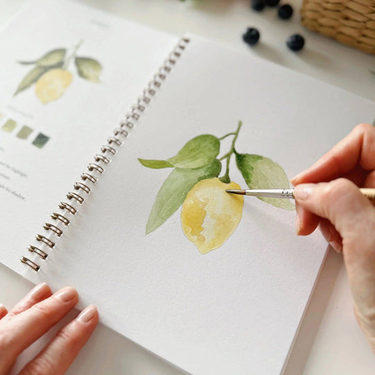 Emily Lex : Fruit watercolour workbook