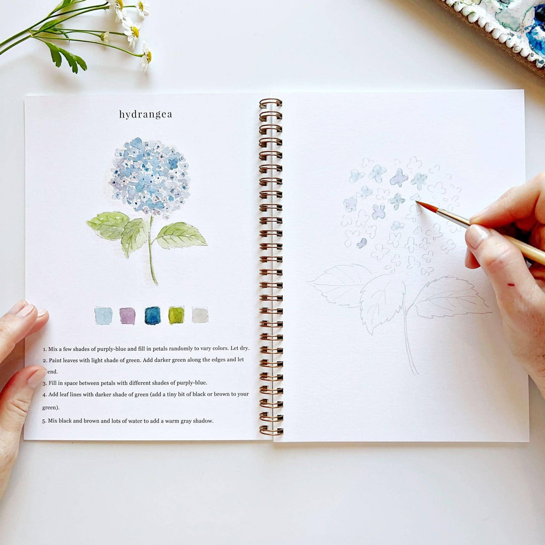 Emily Lex :  Flowers watercolour workbook